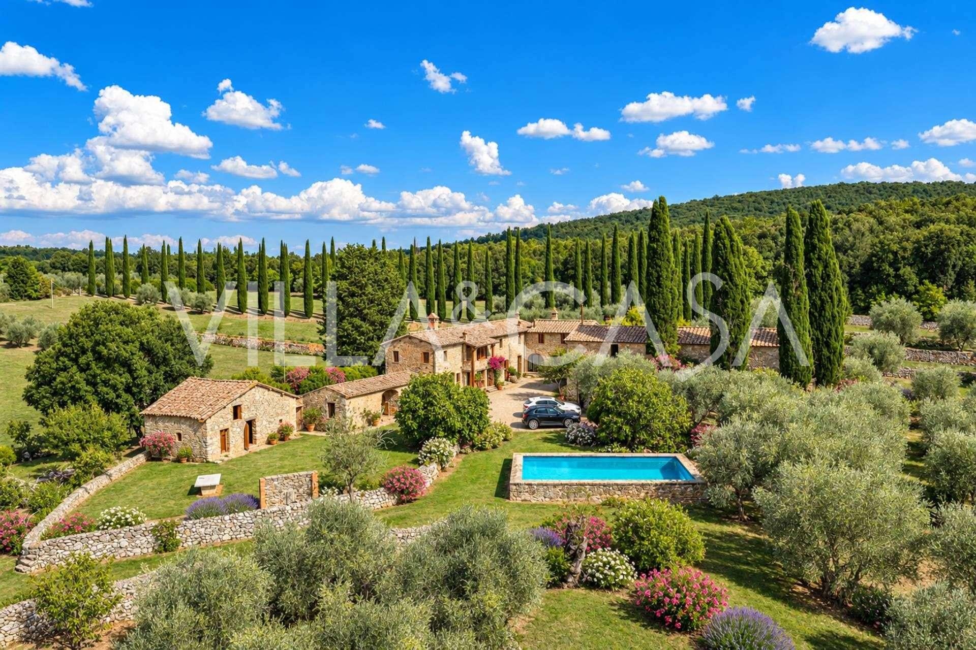 Grund med oliventræer til salg nær Siena, Toscana