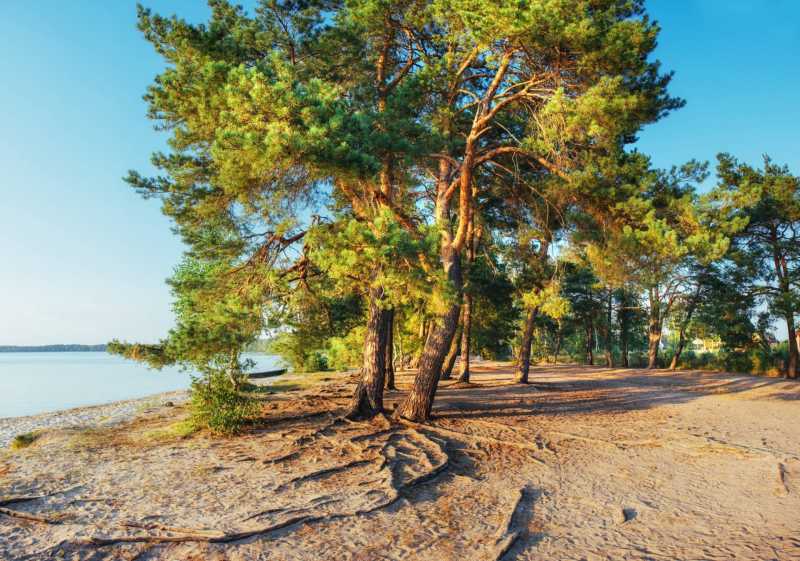 Camping ved havet i Toscana til salg