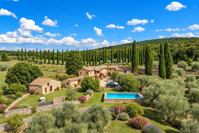 Grund med oliventræer til salg nær Siena, Toscana