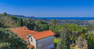 Artvilla i Livorno