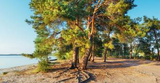 Camping ved havet i Toscana til salg