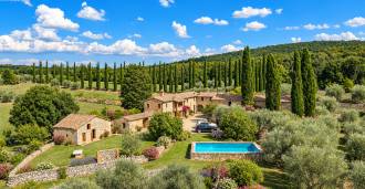 Grund med oliventræer til salg nær Siena, Toscana